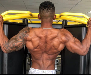 The Perfect Back Training Program